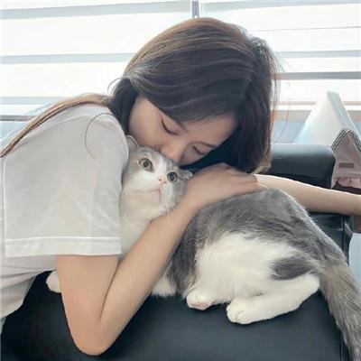 家事提案